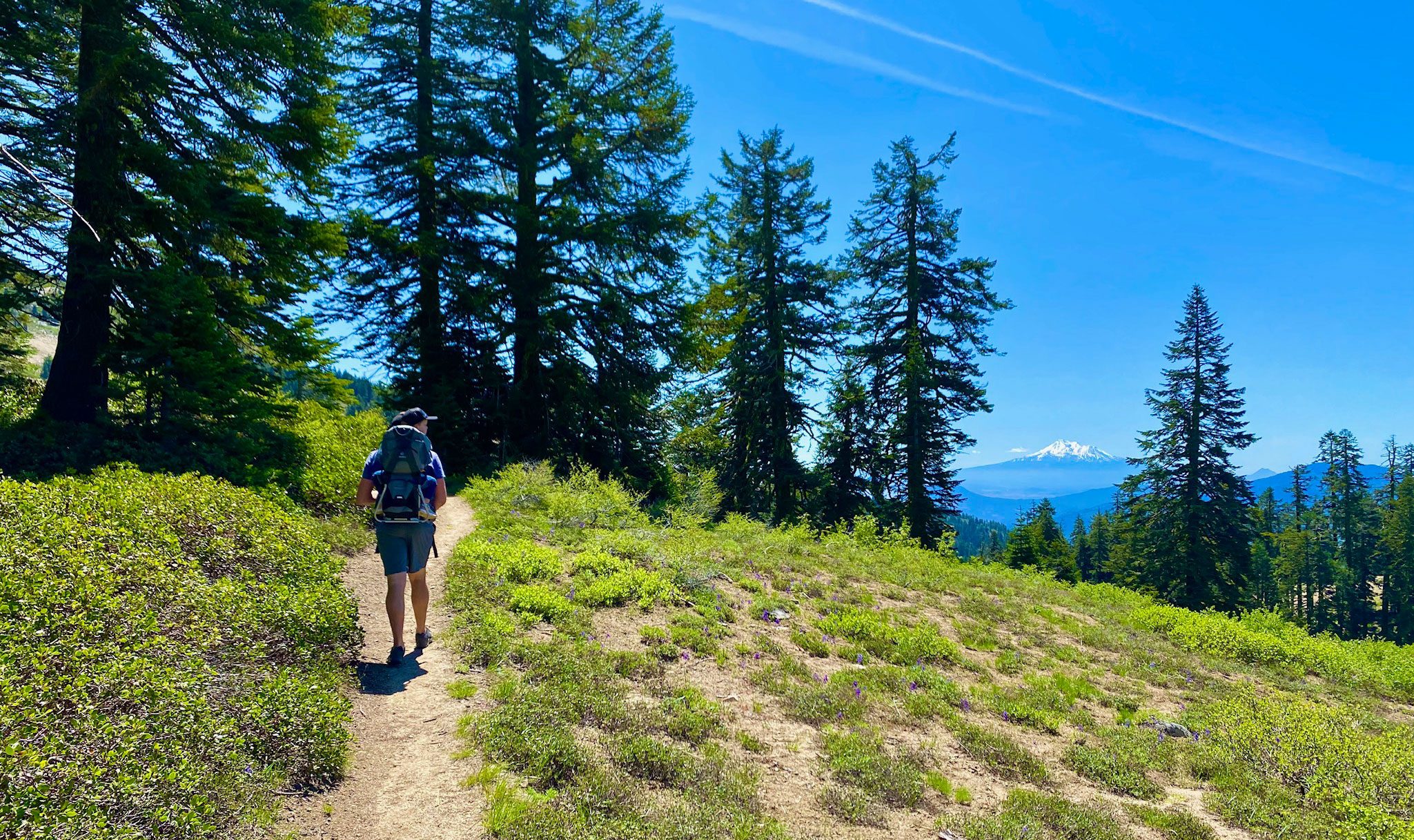 Things To Do In Southern Oregon